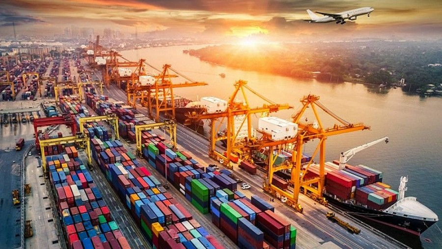 G Ocean cung cấp dịch vụ hỗ trợ làm thủ tục xuất khẩu hàng hóa sang Mỹ