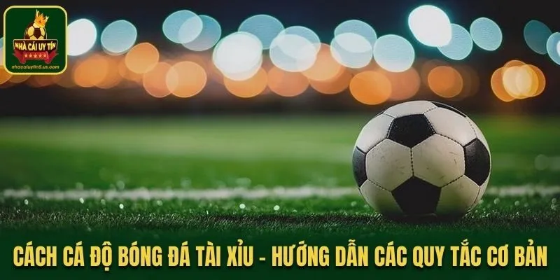 Cách Cá Độ Bóng Đá Tài Xỉu - Hướng Dẫn Các Quy Tắc Cơ Bản