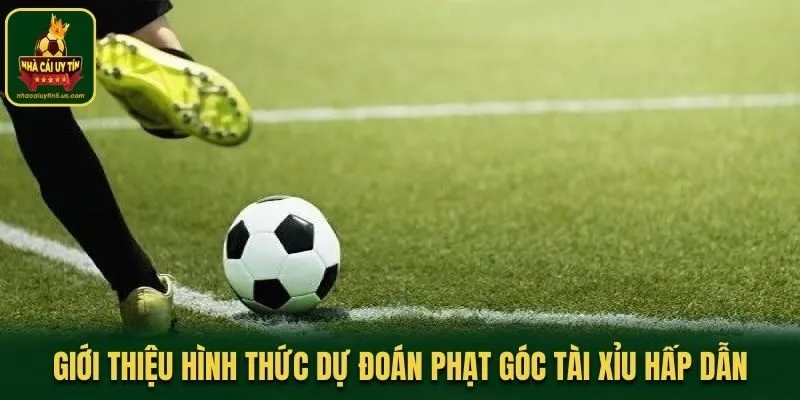 Giới thiệu hình thức dự đoán phạt góc tài xỉu hấp dẫn