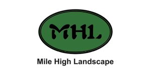 Mile High Landscape